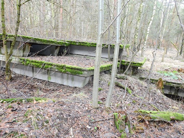 Bild: Ruinen in der Heide