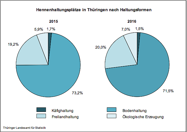 Bild: Hennenhaltungspl&auml;tze in Th&uuml;ringen