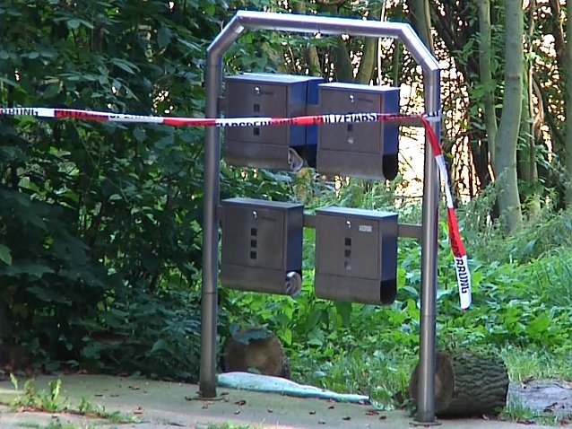 Bild: Tatort bei Wernrode