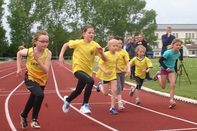 Bild: Freiluftsaison wird auf dem Hohekreuzsportplatz er&ouml;ffnet