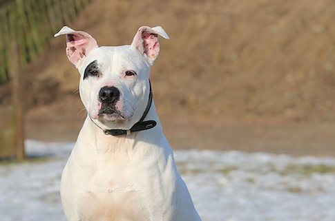 Bild: Tier der Woche: Missy
