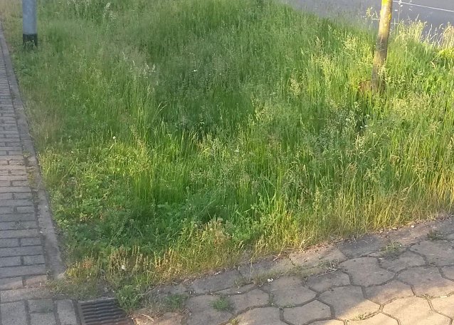 Bild: Natur pur am H&uuml;pedenweg