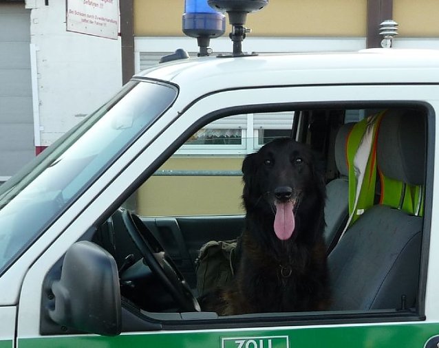 Bild: Im Einsatz