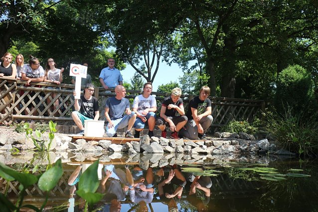 Bild: Teich, Z&auml;une, B&auml;ume - kurz vor den Ferien hat man sich am F&ouml;rderzentrum Pestalozzi nochmal richtig ins Zeug gelegt