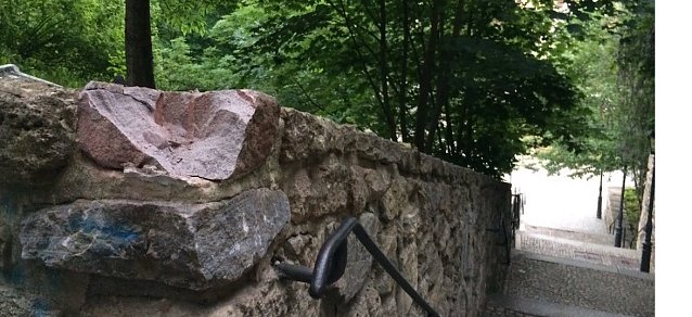 Bild: Treppenk&auml;fer "Ecki" wurde entf&uuml;hrt, schon zum zweiten Mal