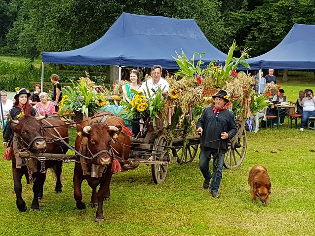 Bild: Park- und Seerosenfest in Werna