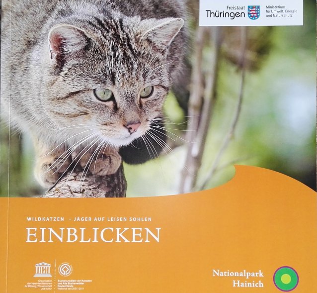 Bild: Wildkatzenbrosch&uuml;re