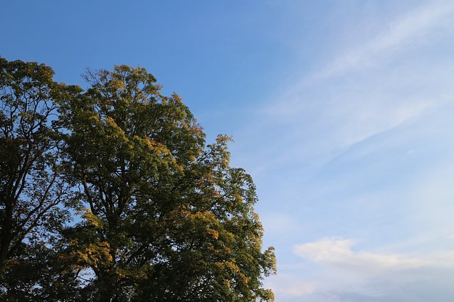 Bild: Wetterbild