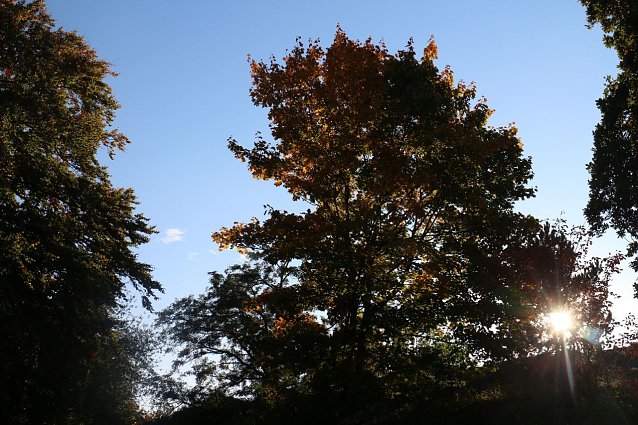 Bild: Wetterbild