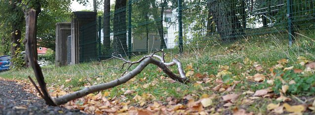 Bild: &Auml;rgernis am Bleicher&ouml;der Weidenhof