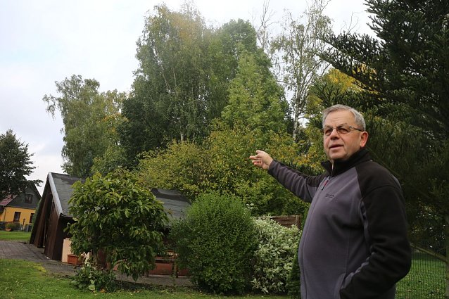 Bild: Herr Gr&ouml;hne vor der gr&uuml;nen Wand an seiner Grundst&uuml;cksgrenze 