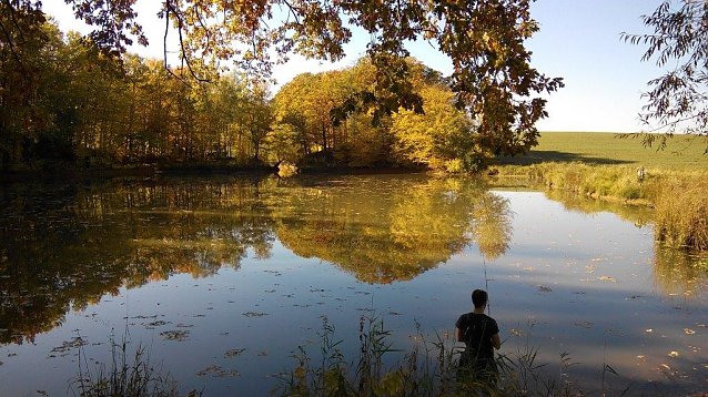 Bild: Der Herbst steht auf der Leiter und malt die Bl&auml;tter bunt � ein alt bekanntes Kinderlied wird in diesen Tagen wieder besonders aktuell. Zum Beispiel am Wiesenteich bei Steinsee.