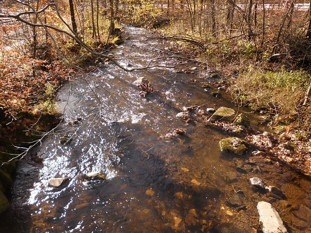 Bild: Der kleine Fluss Bere beim Bahnhof Eisfelder Talm&uuml;hle am 30.10.2017