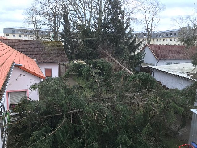 Bild: Sturmsch&auml;den in Nordhausen