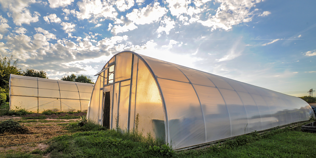 Bild: &Ouml;kologischer Gartenbau am Rande Salzas: der Horizont Verein macht jetzt auch Marmelade