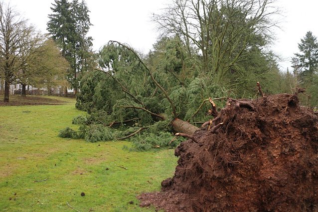 Bild: Sturmsch&auml;den in Nordhausen