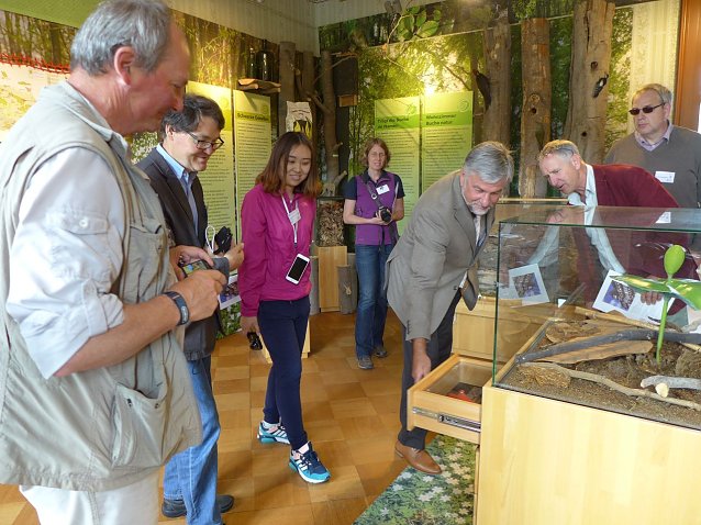 Bild: In der Natura 2000-Ausstellung Buchen musst du suchen �! im Schloss Stolberg
