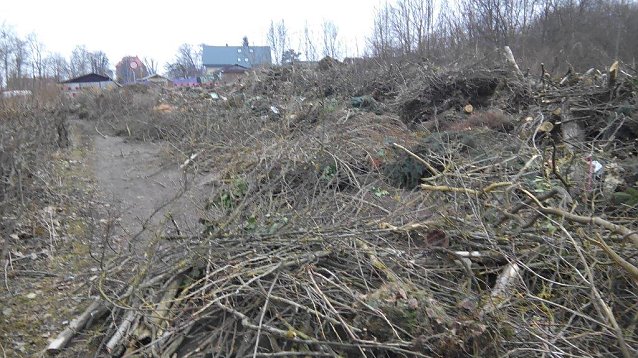 Bild: Die Hinterlassenschaften, die der Sturm auf dem Hauptfriedhof hinterlie&szlig;,  lagern derzeit noch auf der bislang  als Parkplatz genutzten Freifl&auml;che.
