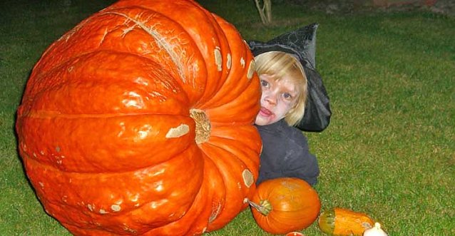 Bild: Halloween