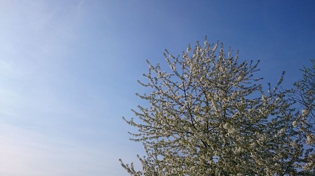 Bild: Wetterbild