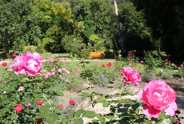 Bild: Park Hohenrode im Sommer
