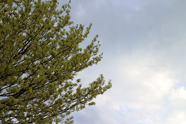 Bild: Wetterbild