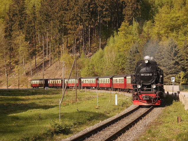 Bild: 99 7239-9 bei der Einfahrt mit dem Nordh&auml;user Brockendampfzug 8929 in Netzkater am 29.04.2018.  