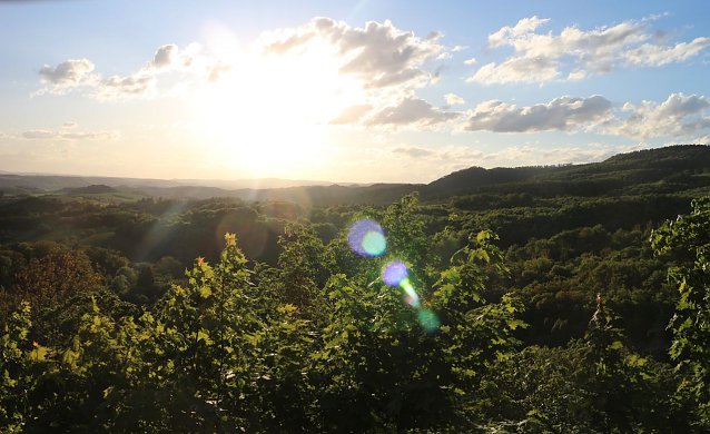 Bild: Blick in den S&uuml;dharz