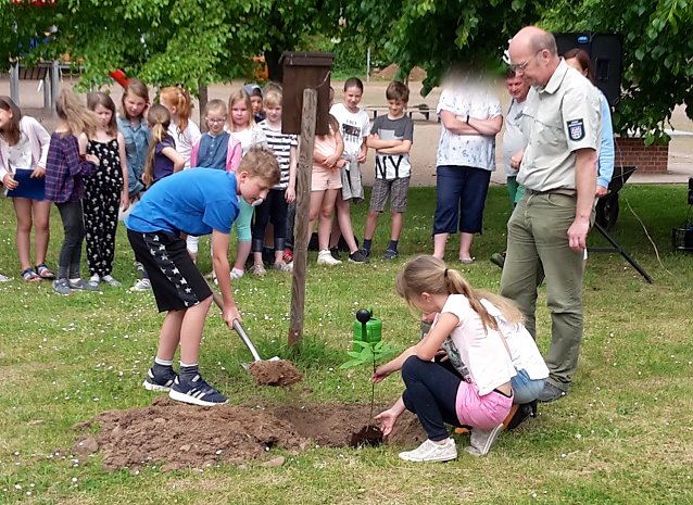 Bild: Es ist eine lange Tradition der Ilfelder Umweltschule, den Baum des Jahres mit einem kleinen musikalischen Programm im Schulgel&auml;nde zu pflanzen