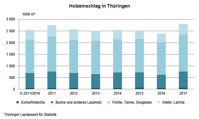 Bild: Holzeinschlag in Th&uuml;ringen