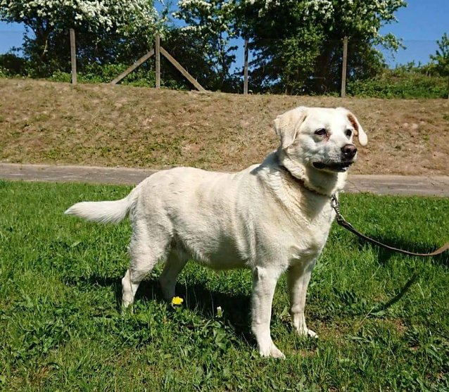 Bild: Tier der Woche: Chalia