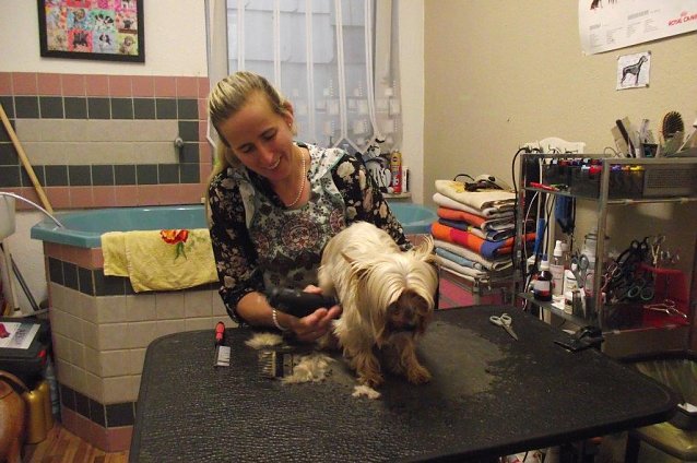 Bild: Ariane M&uuml;ller ist Chefin im Hundesalon Pf&ouml;tchen � Paradies. Seit sechs Jahren &uuml;bt sie gekonnt ihr Handwerk aus.