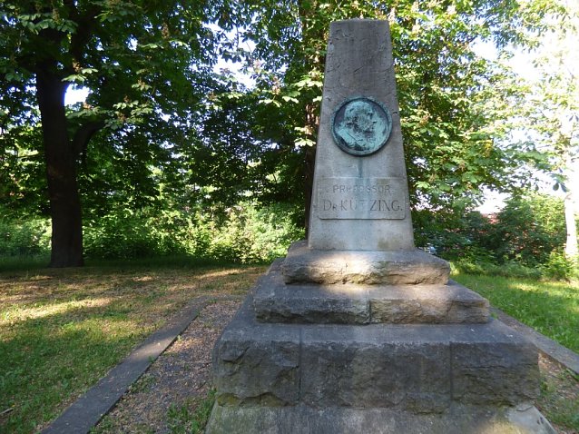 Bild: K&uuml;tzing-Denkmal im Gehege