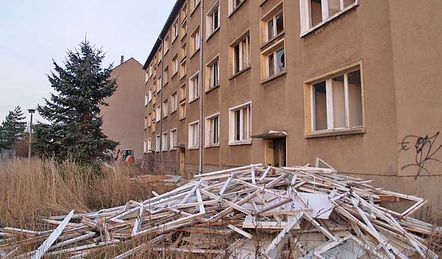 Bild: Arbeit f&uuml;r die Birne