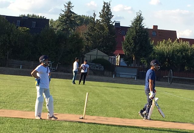 Bild: Cricket Interessenten gesucht
