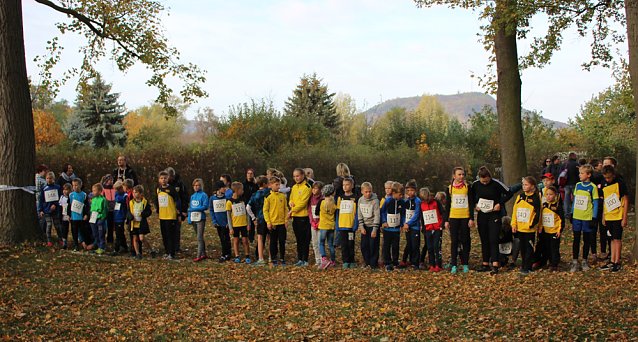 Bild: Stadtparklauf in Sondershausen (2)