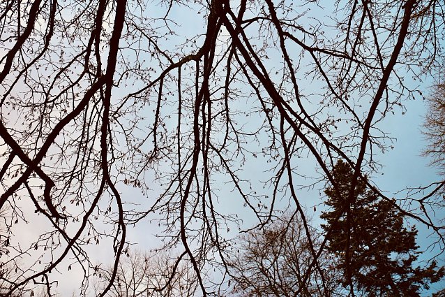 Bild: Wetterbild