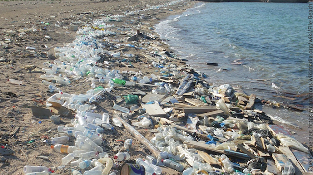Bild: Plastik im Meer