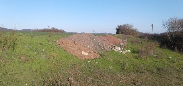 Bild: Die in der N&auml;he des Singerberggipfels im Naturschutzgebiet Alter Stolberg an einem Wegrand illegal abgekippten Erdhaufen beg&uuml;nstigen u.a. die weitere Ausbreitung des dort bereits siedelnden invasiven Neophyten Orientalische Zackenschote (Bunia orientalis). Dieser stellt zus&auml;tzlich zu den schon bestehenden Beeintr&auml;chtigungen einen weiteren negativen Einflussfaktor dar.