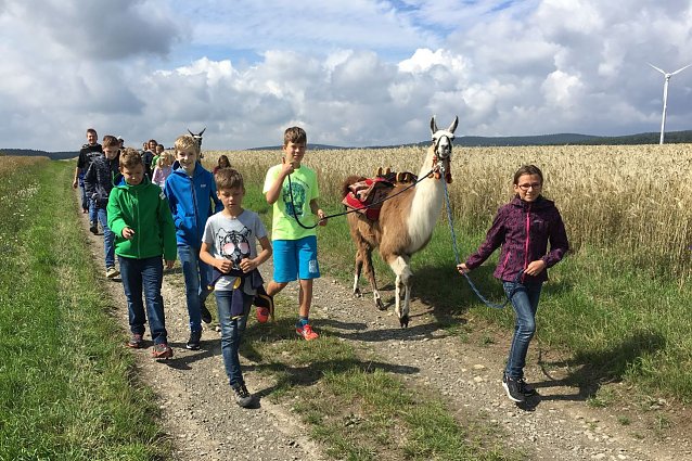 Bild: Ferienzeit 2017 mit dem Kreisjugendring