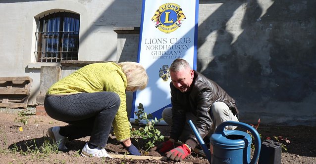 Bild: Lions-Rosen f&uuml;r den Park Hohenrode gespendet