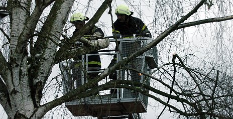 Bild: Feuerwehr