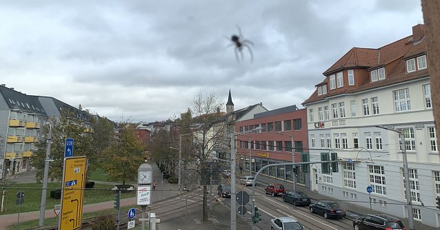 Bild: Altweibersommer