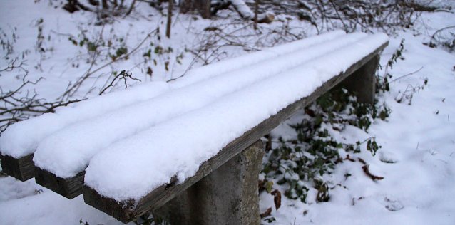 Bild: wetter