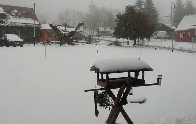 Bild: Morgenstund in Sophienhof