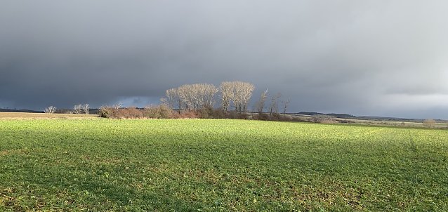 Bild: Windl&uuml;cke