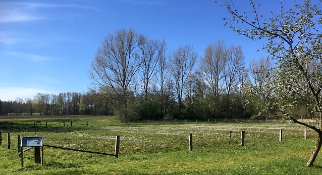 Bild: wetter