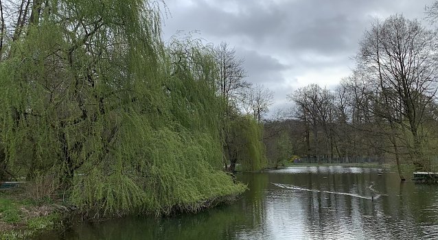 Bild: wetter