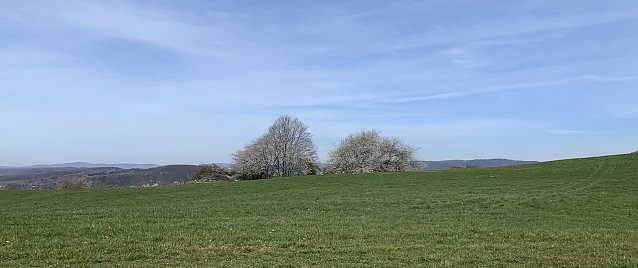Bild: wetter