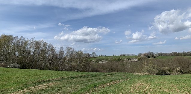 Bild: wetter